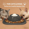 Pet Licking Bowl Dog Liquid Lick Bowl (digestive)